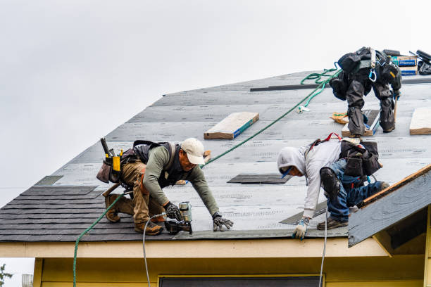 Professional Gutter Installation technician working in Pattison, TX